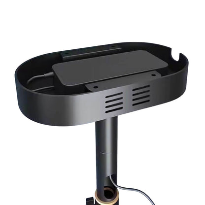 Vision Beam™ Premium Ceiling Mount